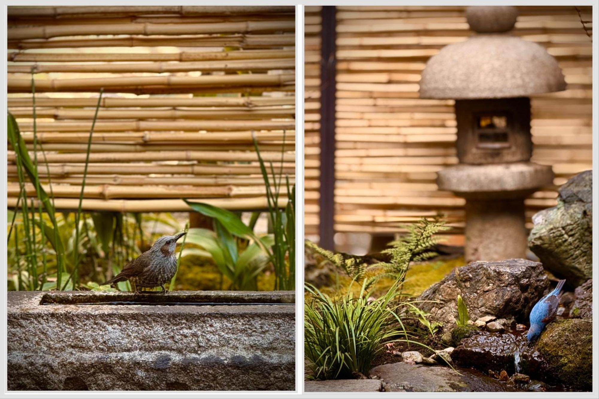 Ryokan Tori Kyoto Ruang foto